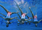 开云官网-北伦敦风暴席卷三狮军团，布鲁诺高能输出导演阿森纳式完胜