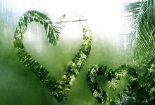 开云体育登录-包含葡萄牙队与德国队对决，球迷期待一场精彩的比赛的词条