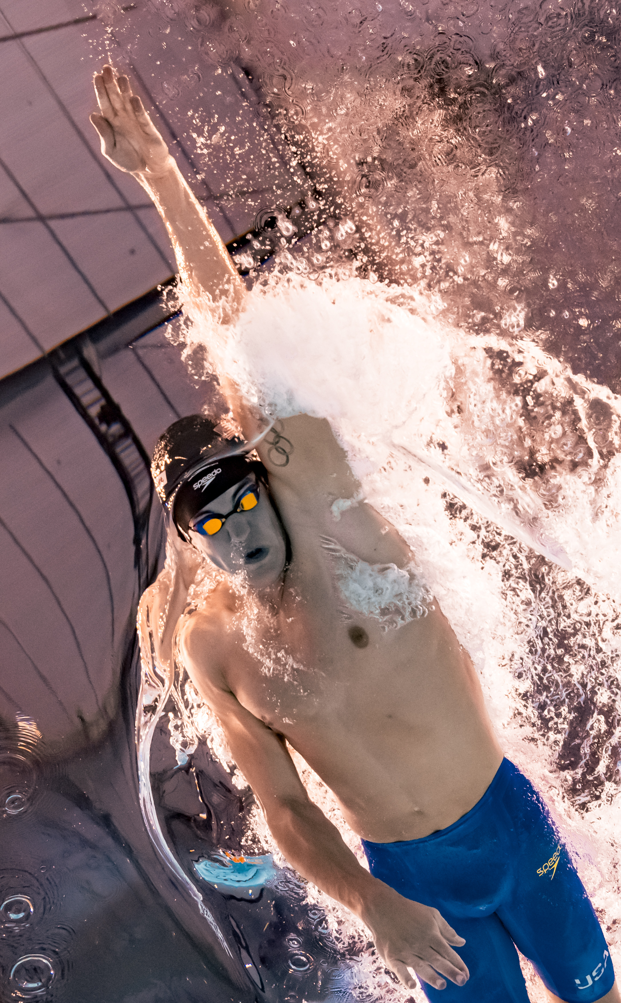 游泳男子自由泳决赛:澳大利亚选手奋力一搏的简单介绍 游泳男子自由泳决赛:澳大利亚选手奋力一搏的简单介绍