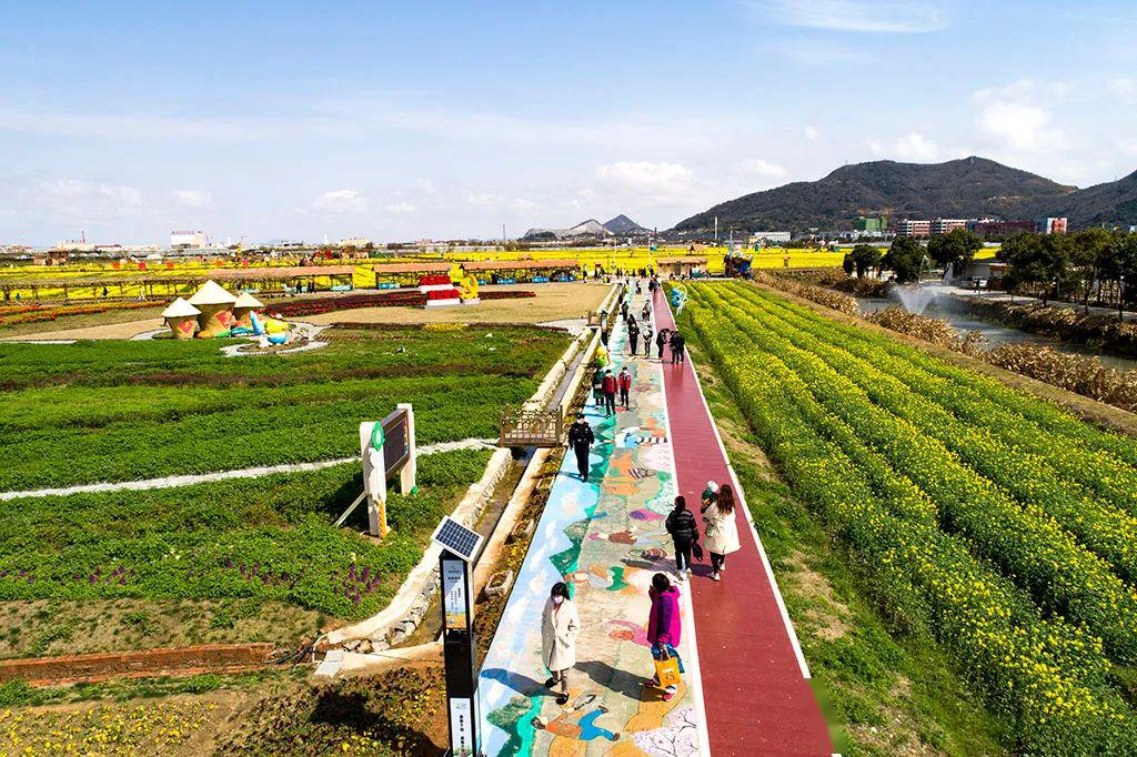 关于瓦伦西亚五轮不败,逐步恢复稳定状态的信息 关于瓦伦西亚五轮不败,逐步恢复稳定状态的信息